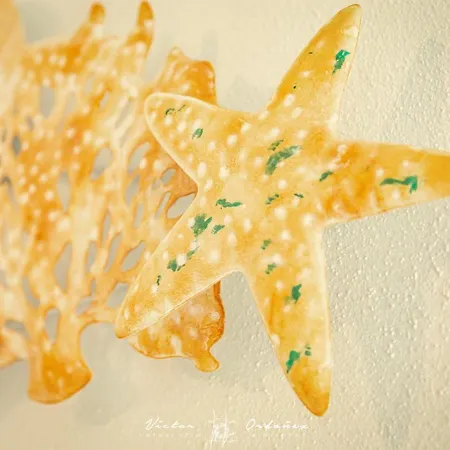 펜션 Wayra Kanchay Raposeira (Faro)
