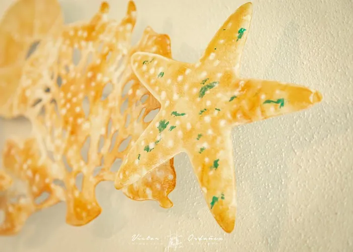 펜션 Wayra Kanchay Raposeira (Faro)